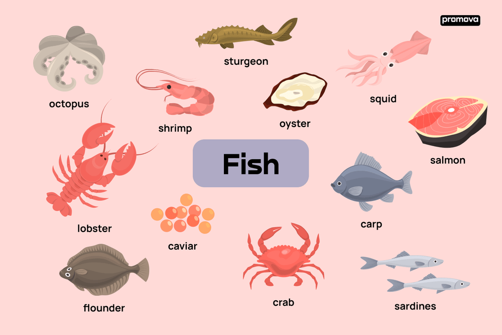 Different Types Of Fish With Names