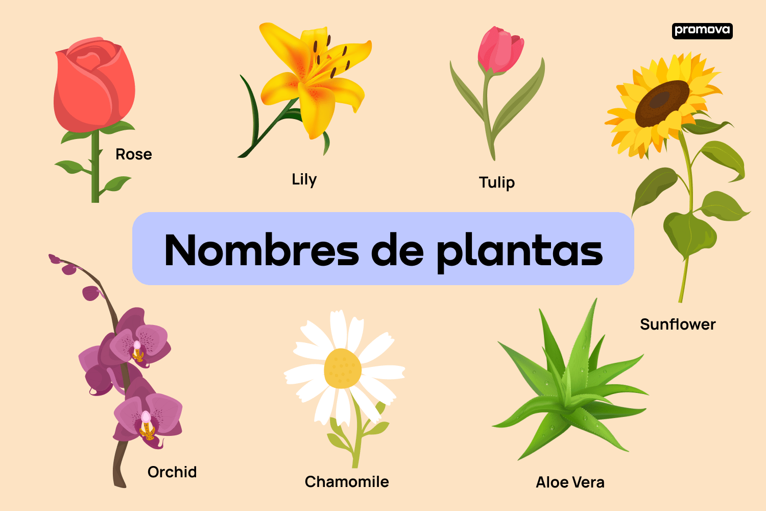 Tipos de plantas en inglés Explora los tipos de plantas en inglés