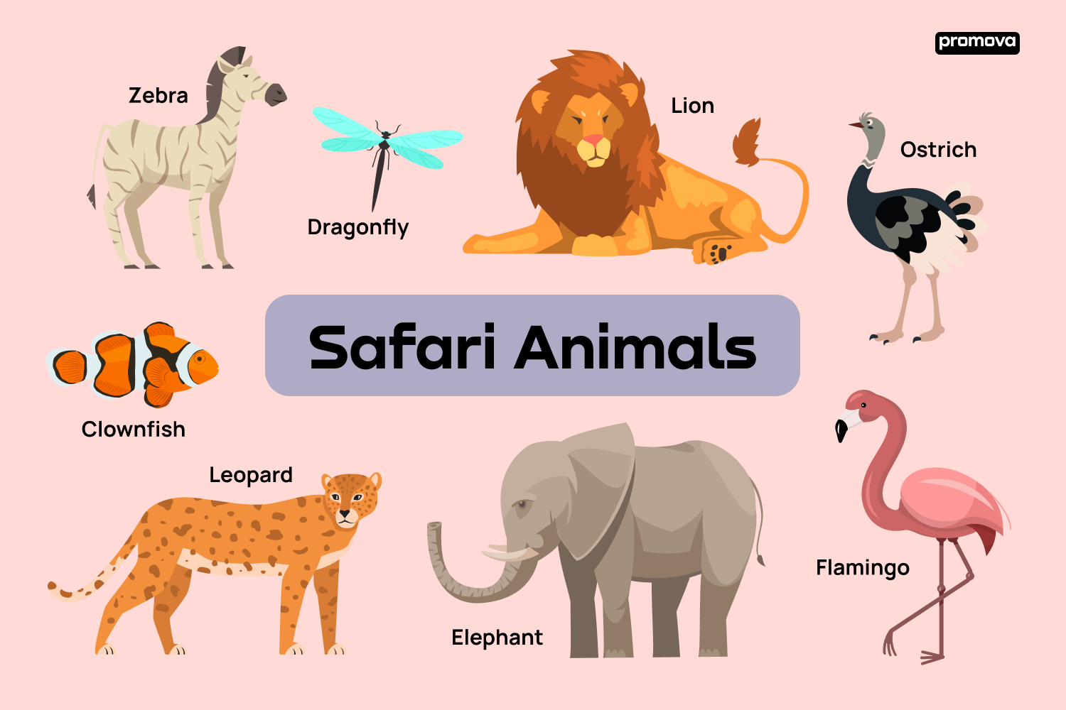 Safari Animals Vocabulary In English