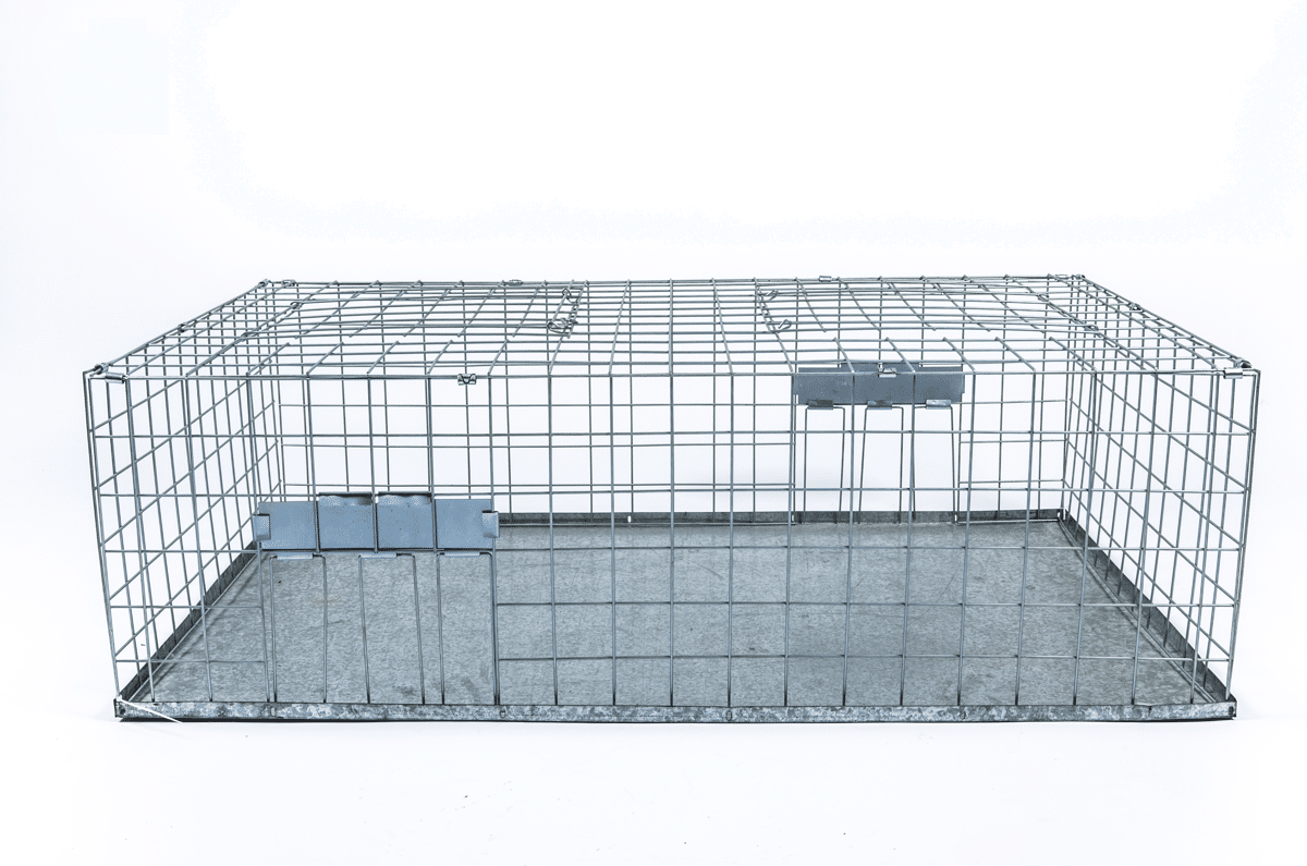 Pigeon Trap Cage, Live Bird Trap, Foldable Galvanized Pigeon Trap Cage