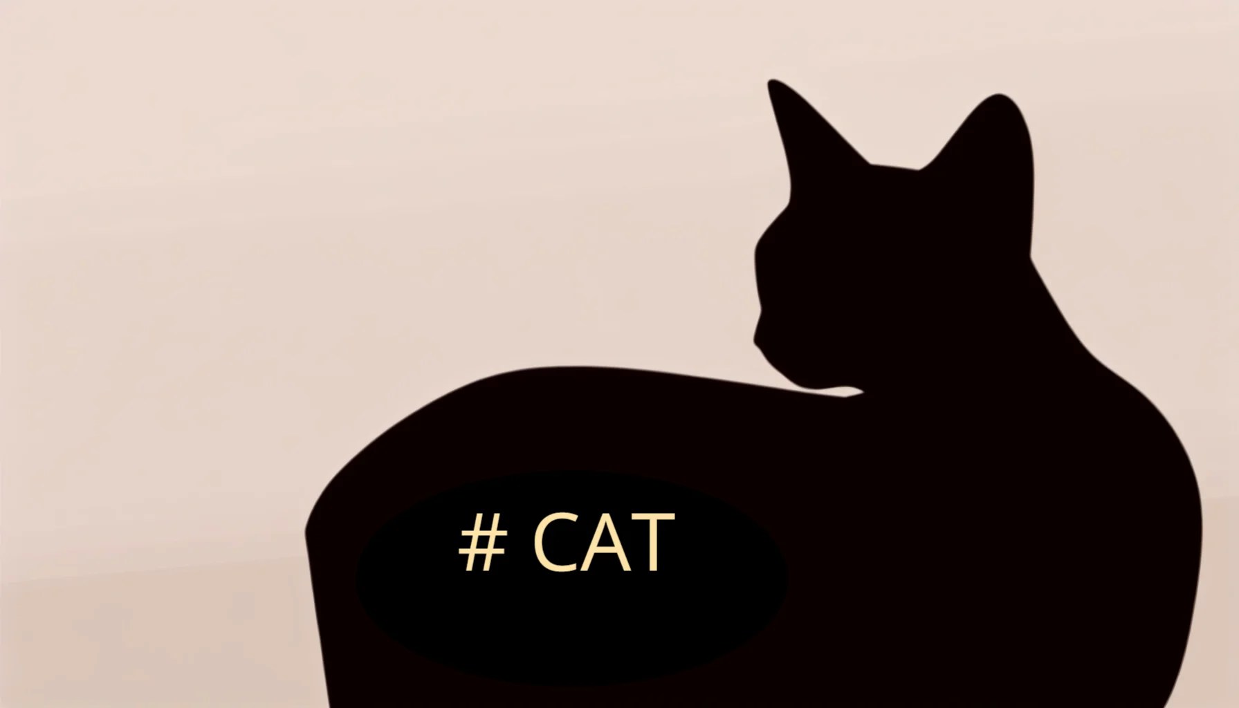 Best Cat Hashtags For Social Media Promptsideas