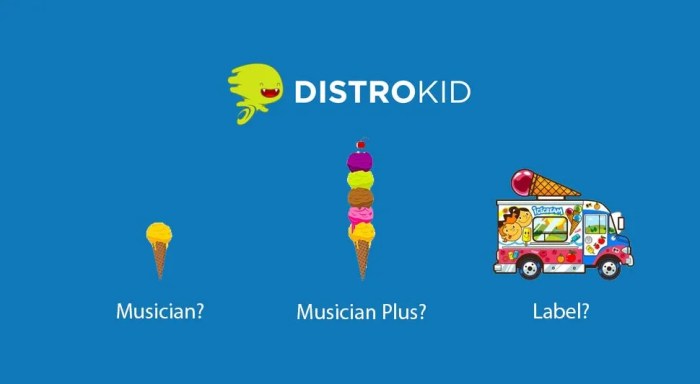 Is DistroKid Actually Worth the Money? (Honest Opinion) Is DistroKid Actually Worth the Money? (Honest Opinion)