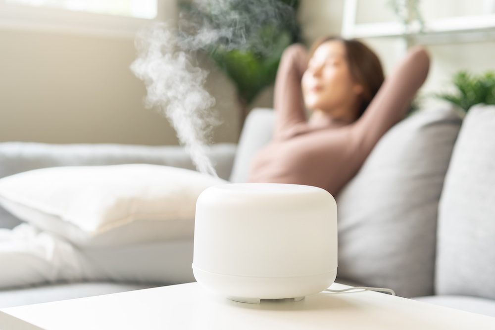 4 Humidifier Benefits for Skin ProNebu