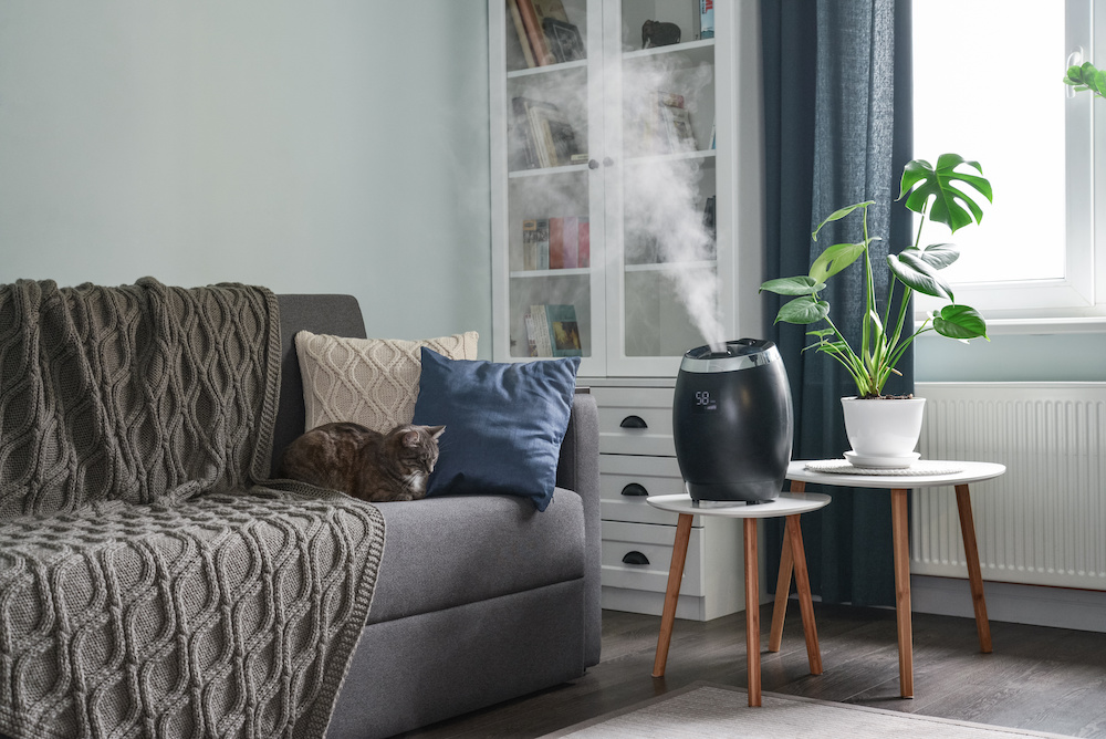 Benefits of Humidifier in Winter ProNebu