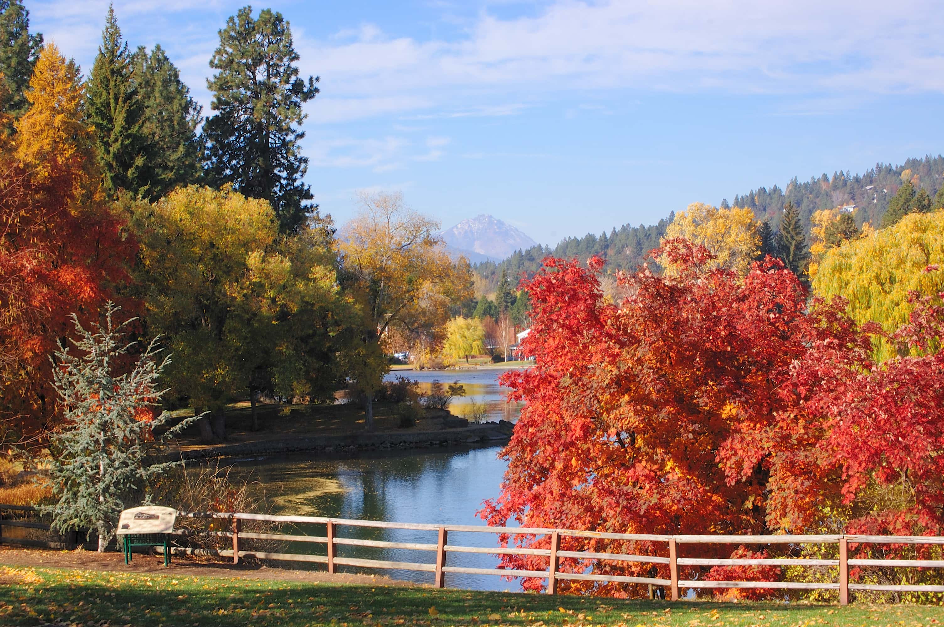 oregon fall foliage 2023 Fall Foliage, Deschutes River at Drake Park in Bend, Oregon Pronghorn