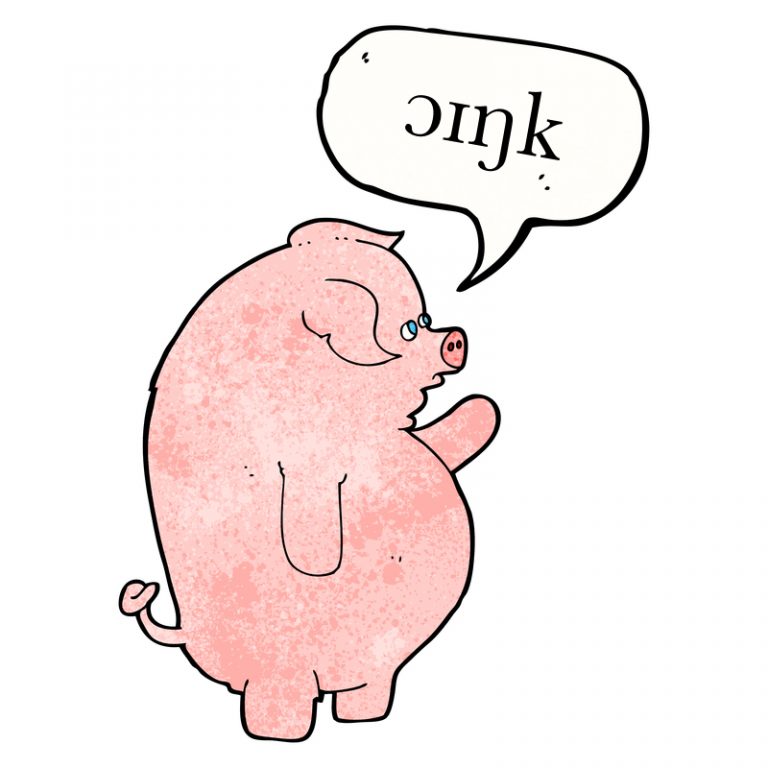 pigsound Pronunciation Studio