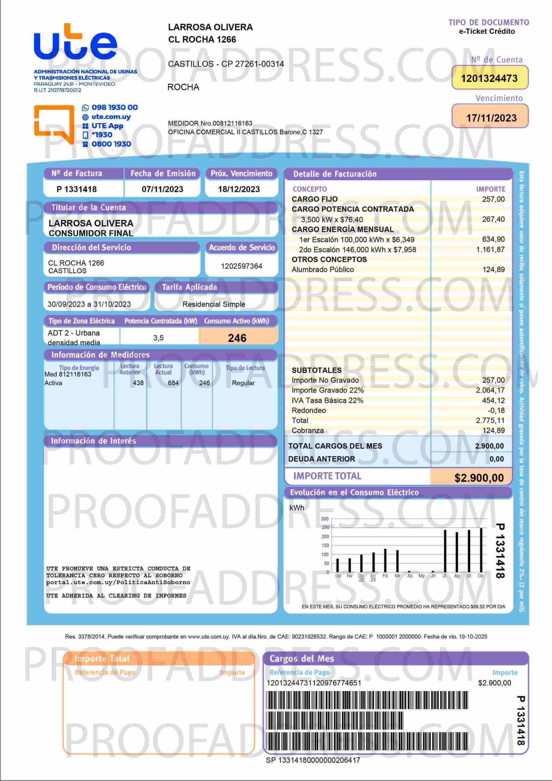 Order Editing utility bill UTE Instant Delivery Custom info