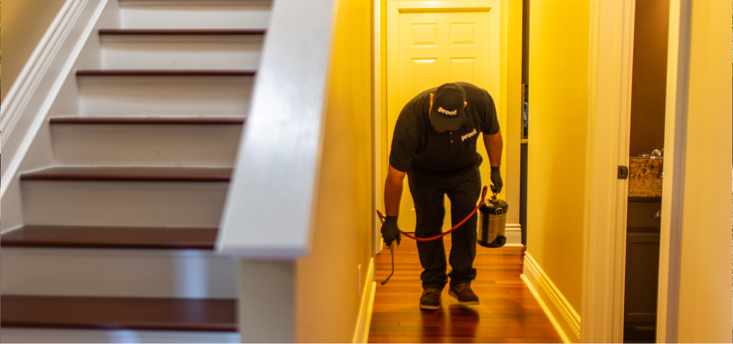 Residential Pest Control Pest Control
