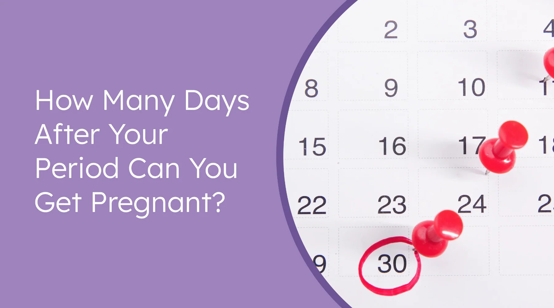How many days after your period can you get pregnant? | Proov Test