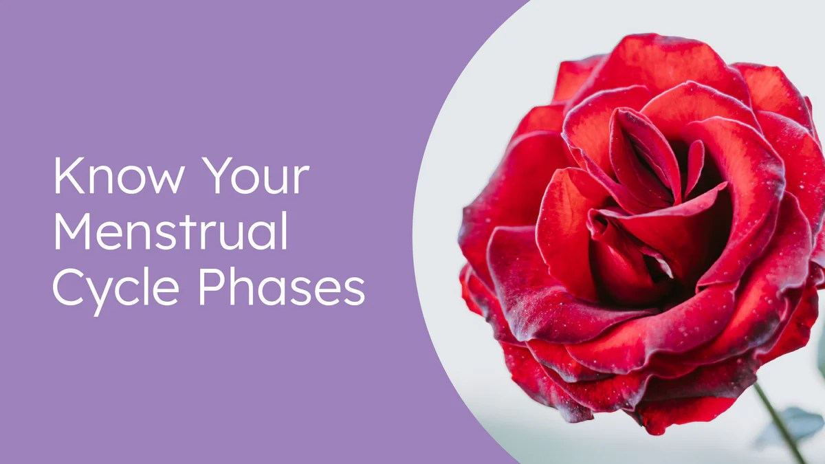 Know Your Menstrual Cycle Phases – Proov