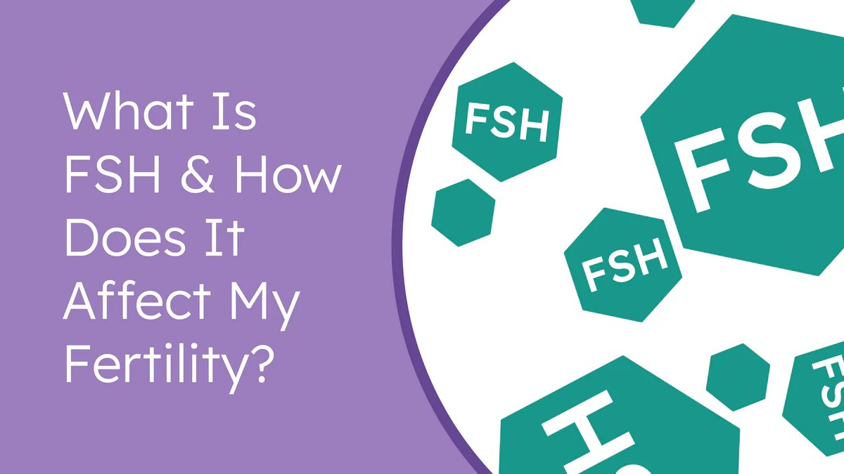 What is FSH & How Does it Affect My Fertility? Proov