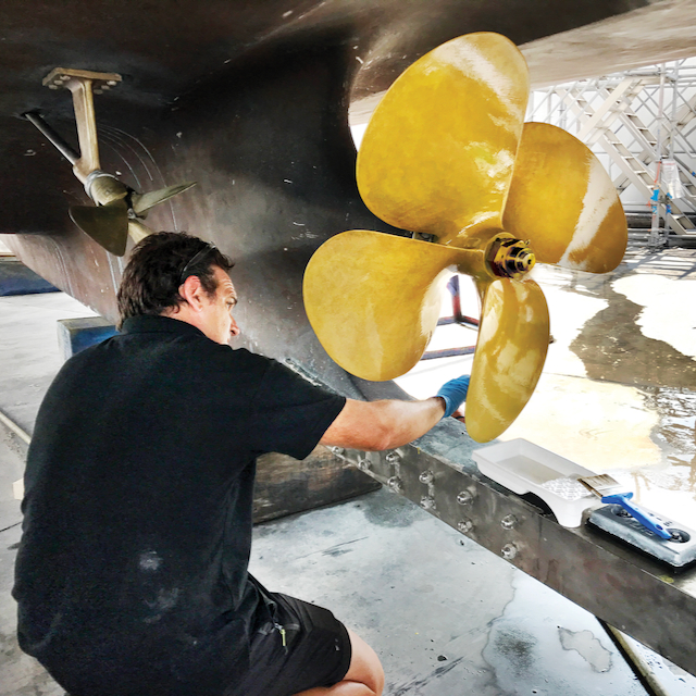 Antifouling and Foul Release coatings
