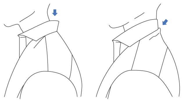 (PDF) Anatomy Q-Bank: Head and Neck ResearchGate
