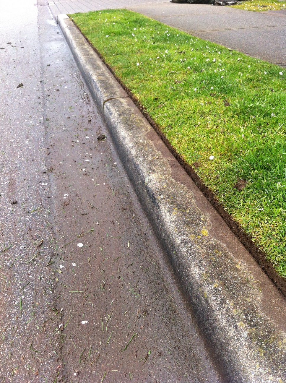 Landscaping and Property Maintenance Why you should fall in love with