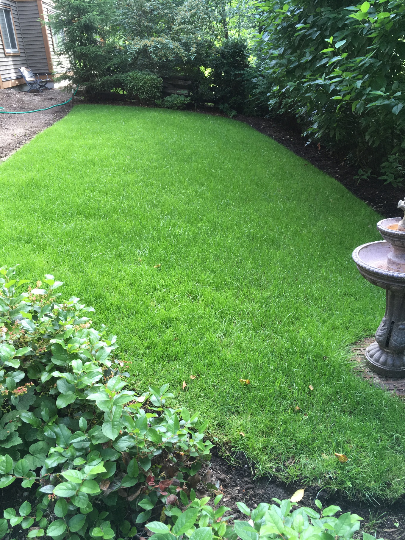 Landscaping and Property Maintenance - A perfect mower for small lawns