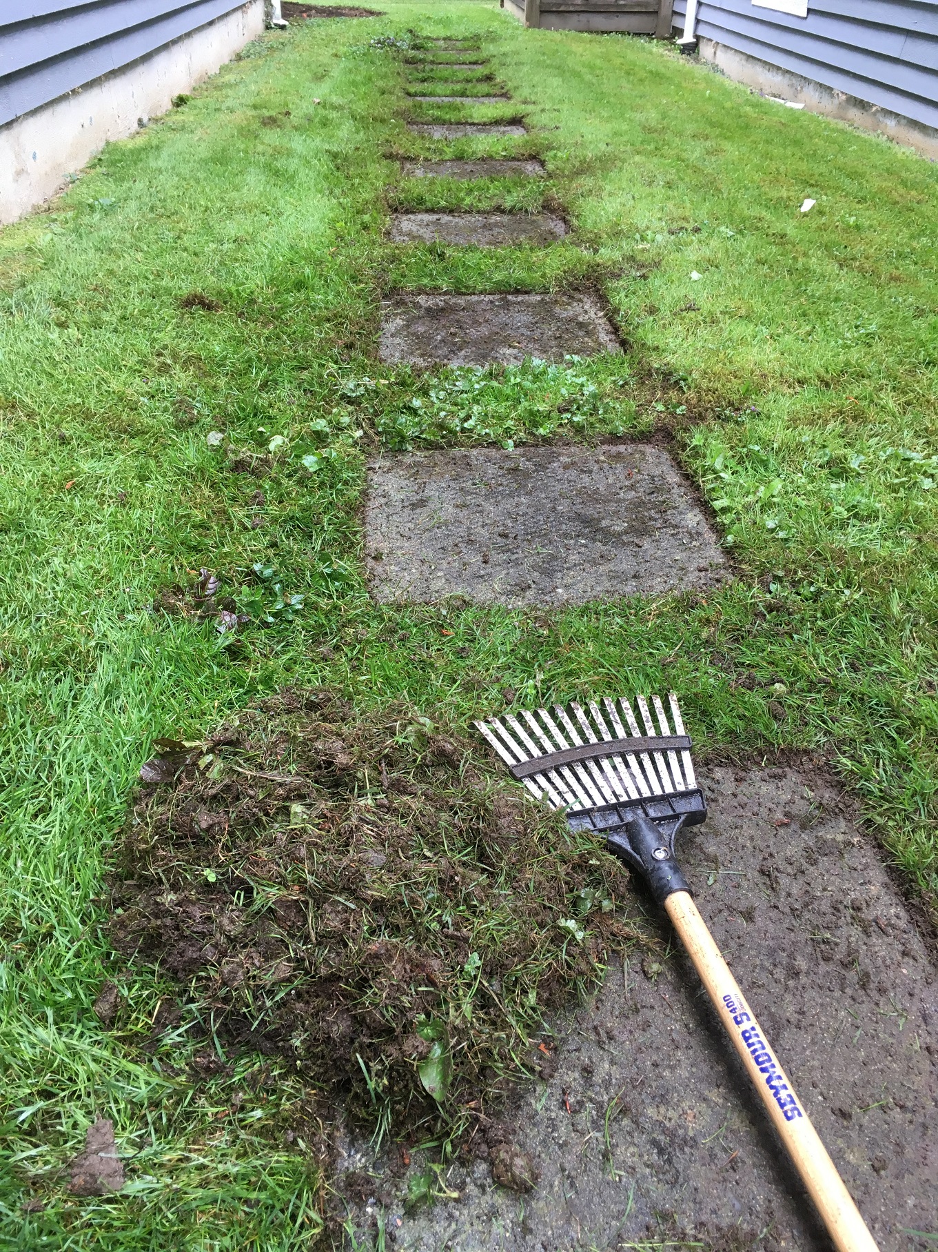 Landscaping and Property Maintenance How to rescue stepping stones