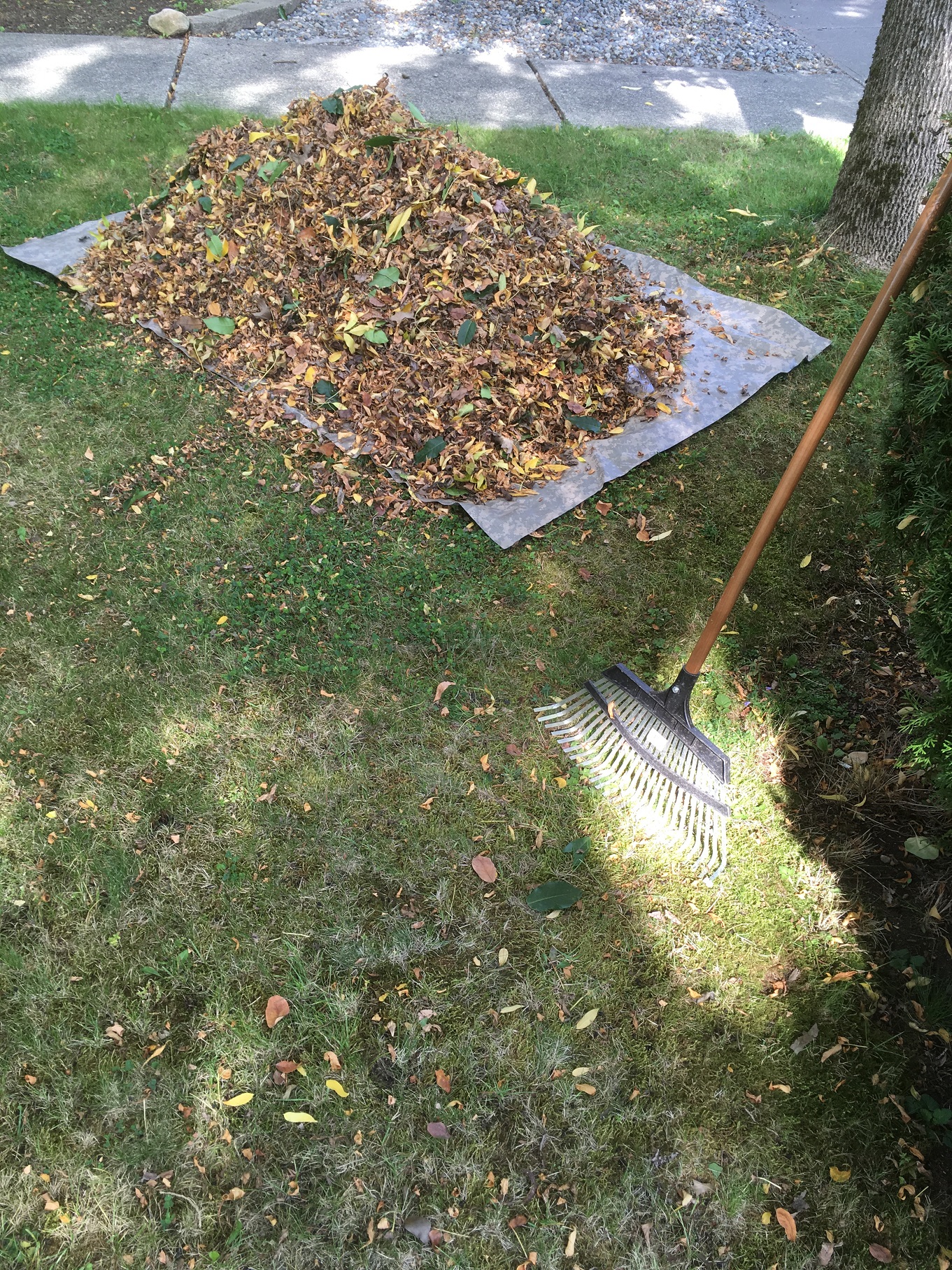 Landscaping and Property Maintenance Blow like a pro Proper