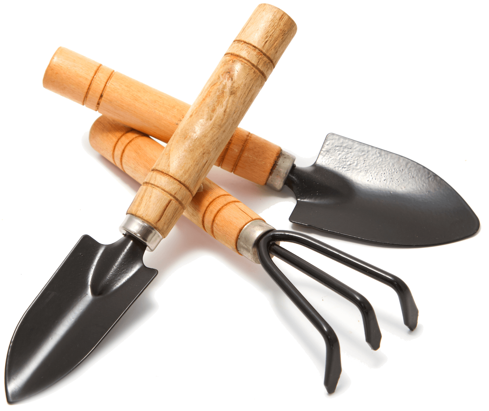 [HowTo] Essential Gardening Tips for Every Gardener Sproutabl