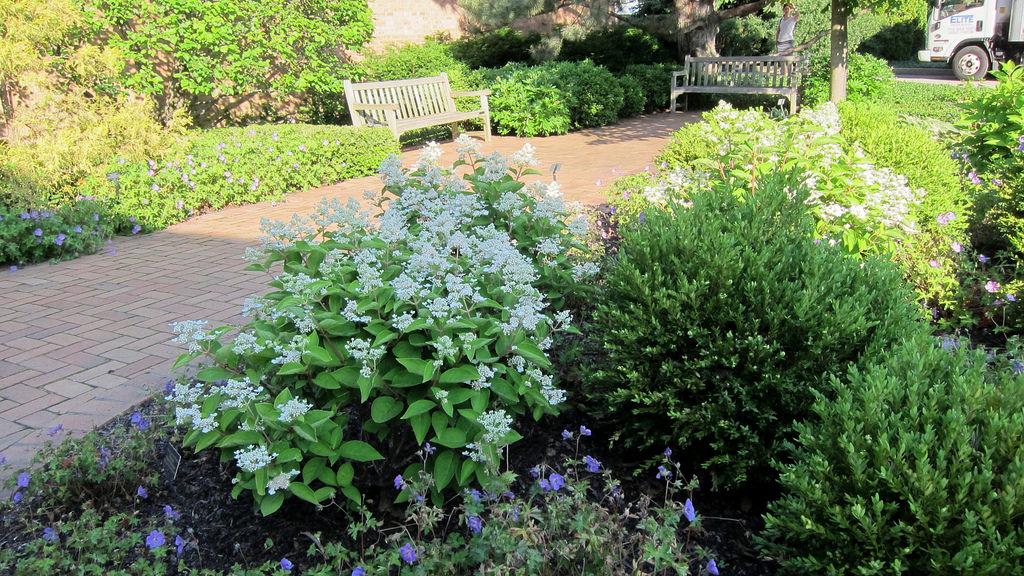 Our Guide to Some Elegant Garden Design Ideas Properly Rooted