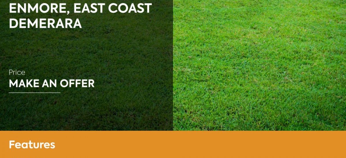 Enmore, East Coast Demerara Demerara Realty