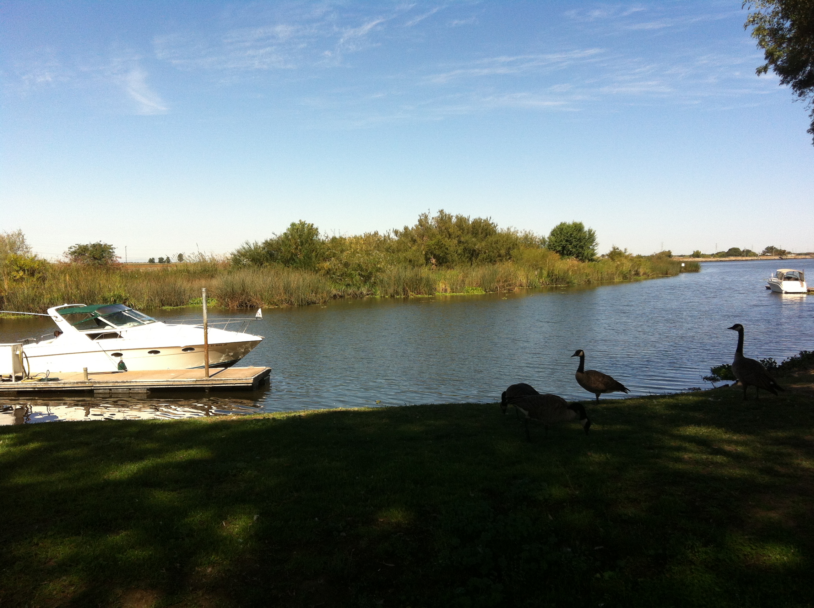 Homes for Sale Stockton 95219