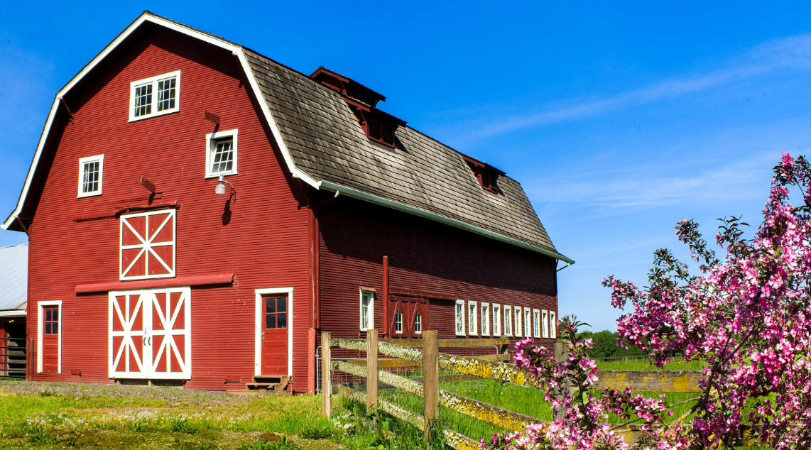 The 5 Most Interesting Barns In New Zealand
