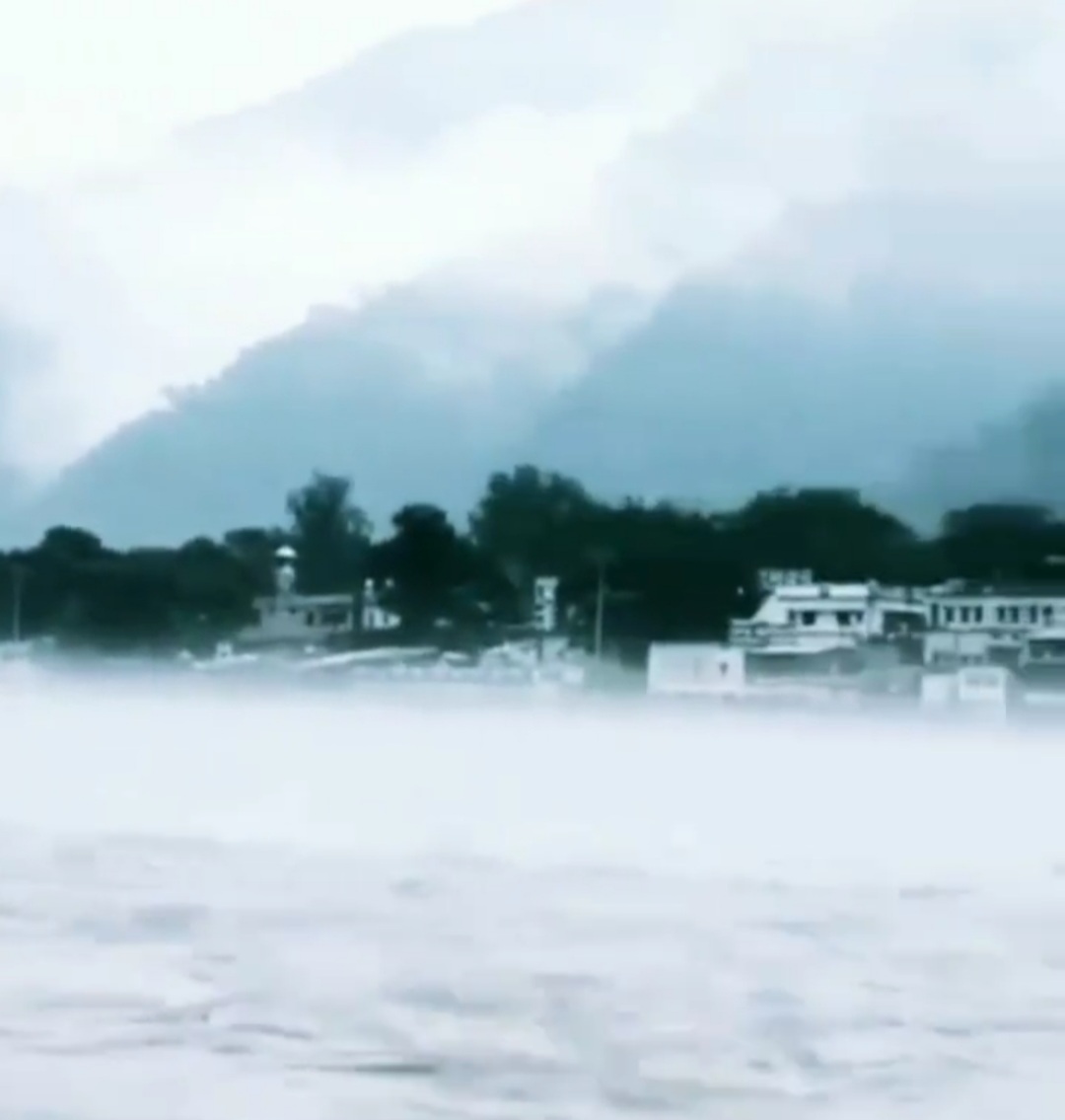 Property Consultant Chamber