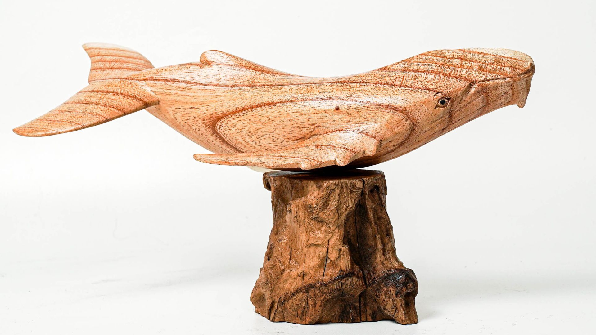 11 Lucky Vastu Fishes You Should Have in Your Home Aquarium