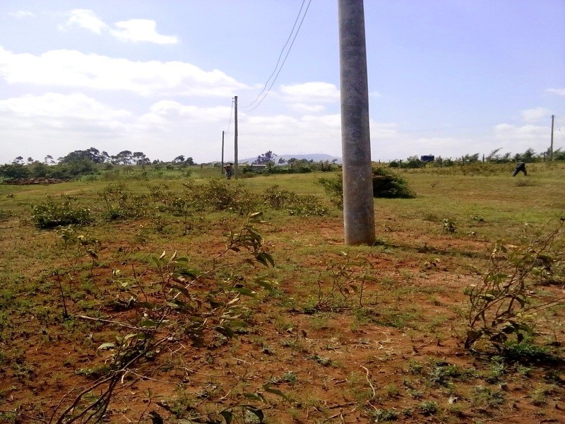 Property Guide Kenya Nairobi sells buys houses land plots and homes