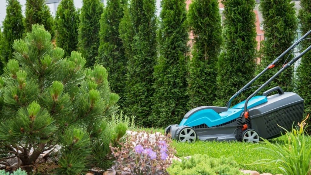 Will A Landscaped Garden Add Value To Your Home? Property Help