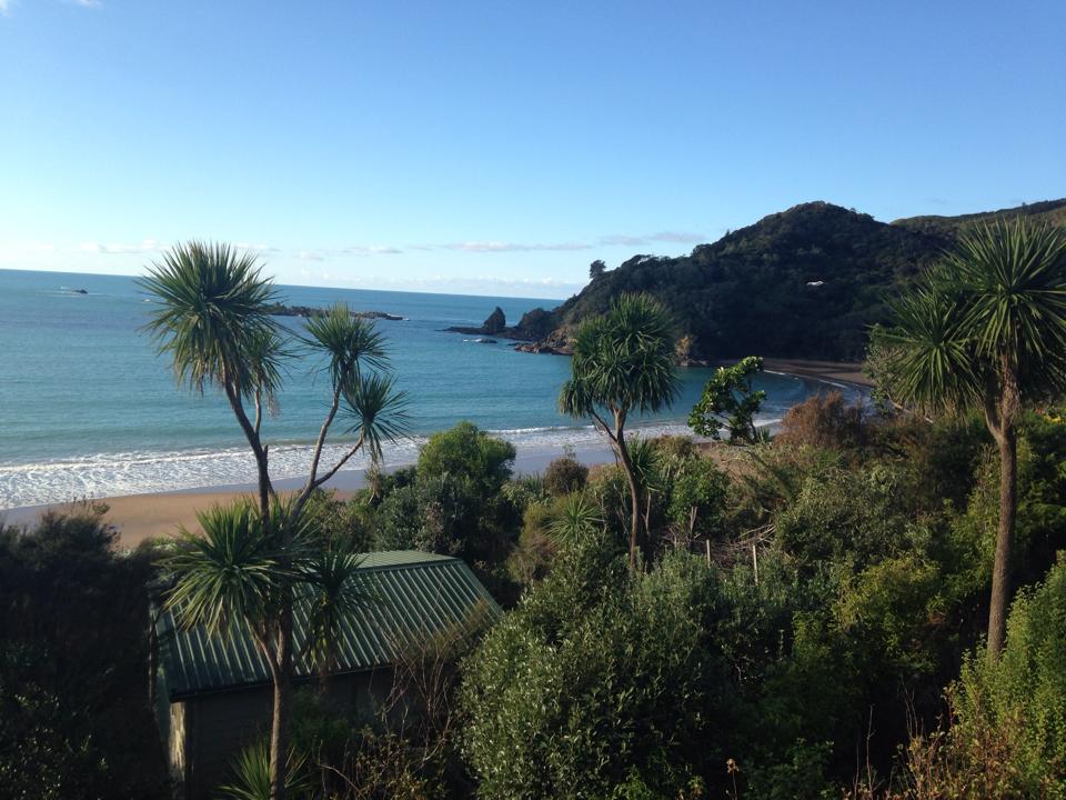 ThamesCoromandel property valuers