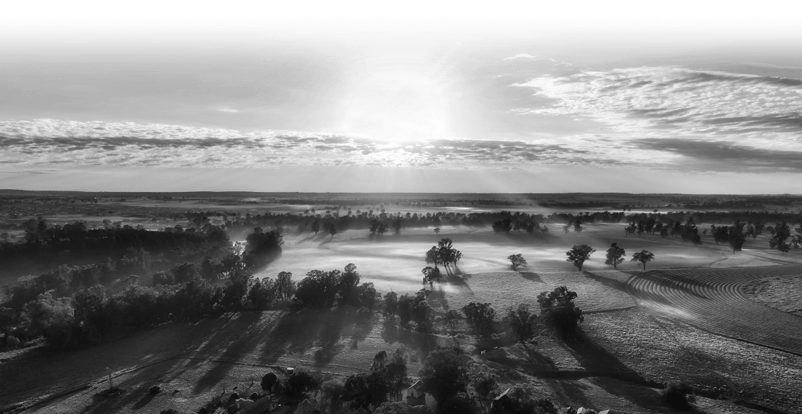 Home Brigham Property Rights