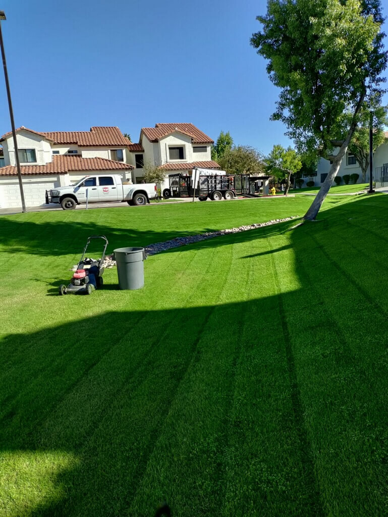 HOA Landscaping Phoenix HOA Landscape Maintenance
