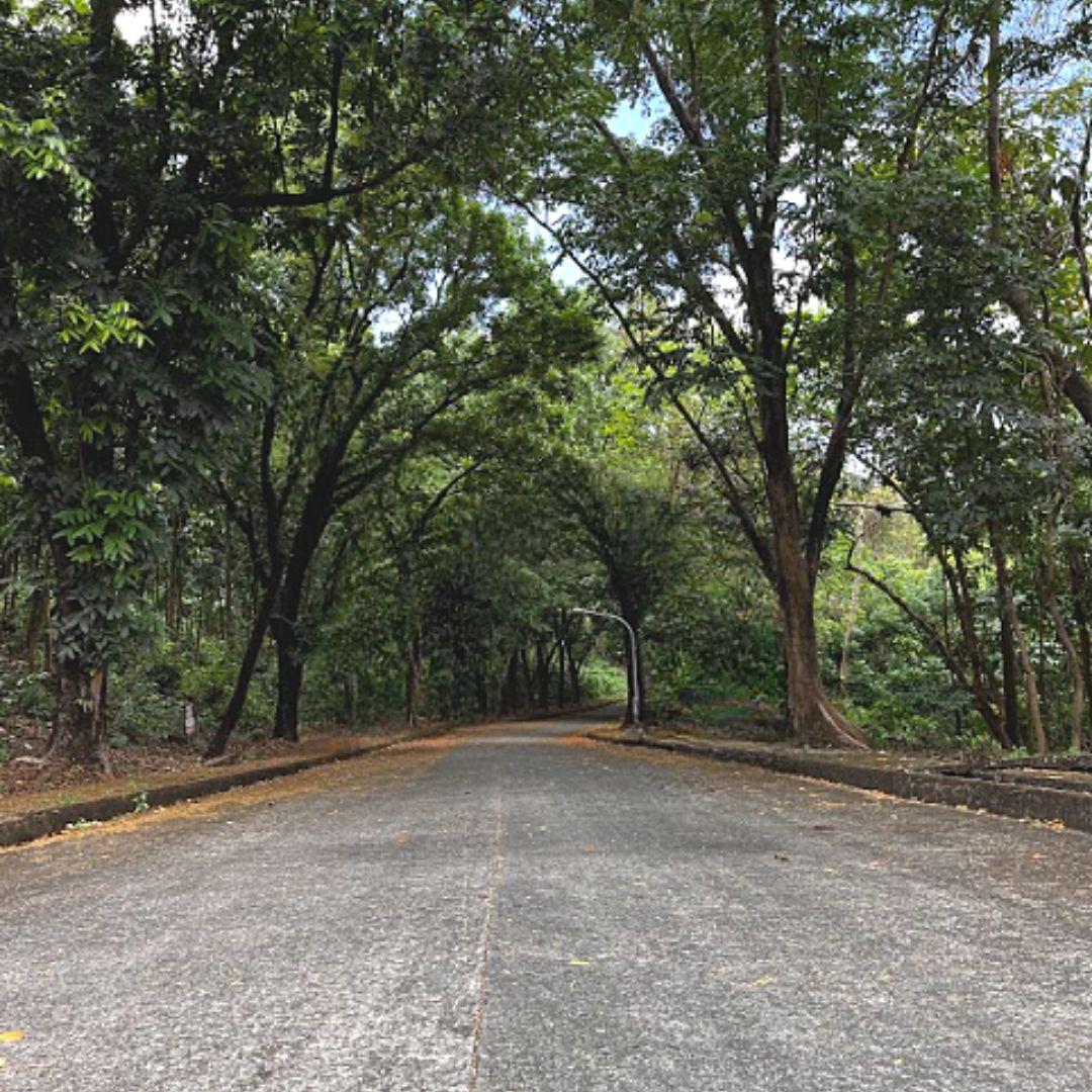 Town and Country Estates Vacant Lot for Sale! Antipolo City Property