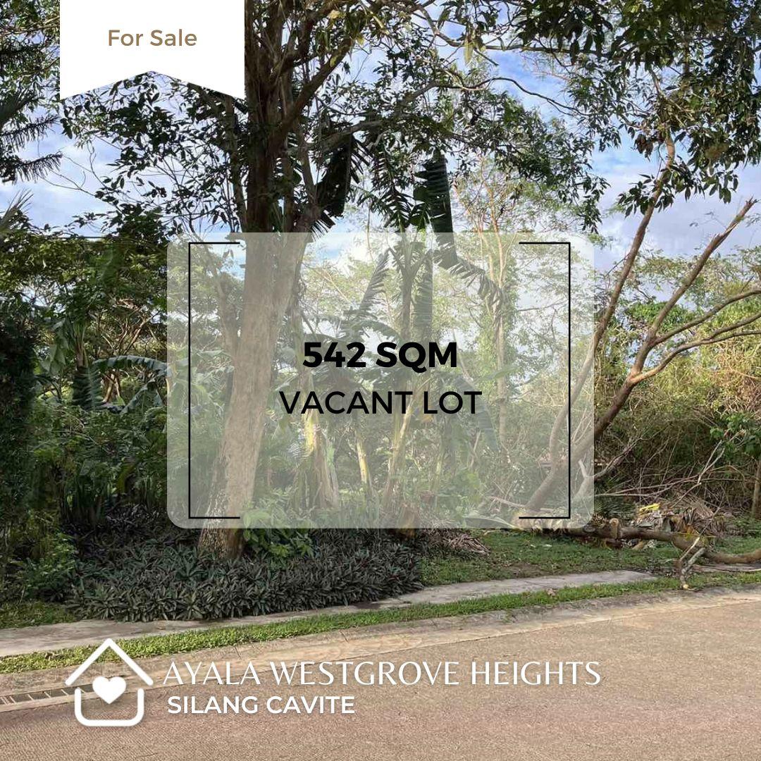 PRICE IMPROVED!!!Ayala Westgrove Heights Vacant Lot for Sale! Silang