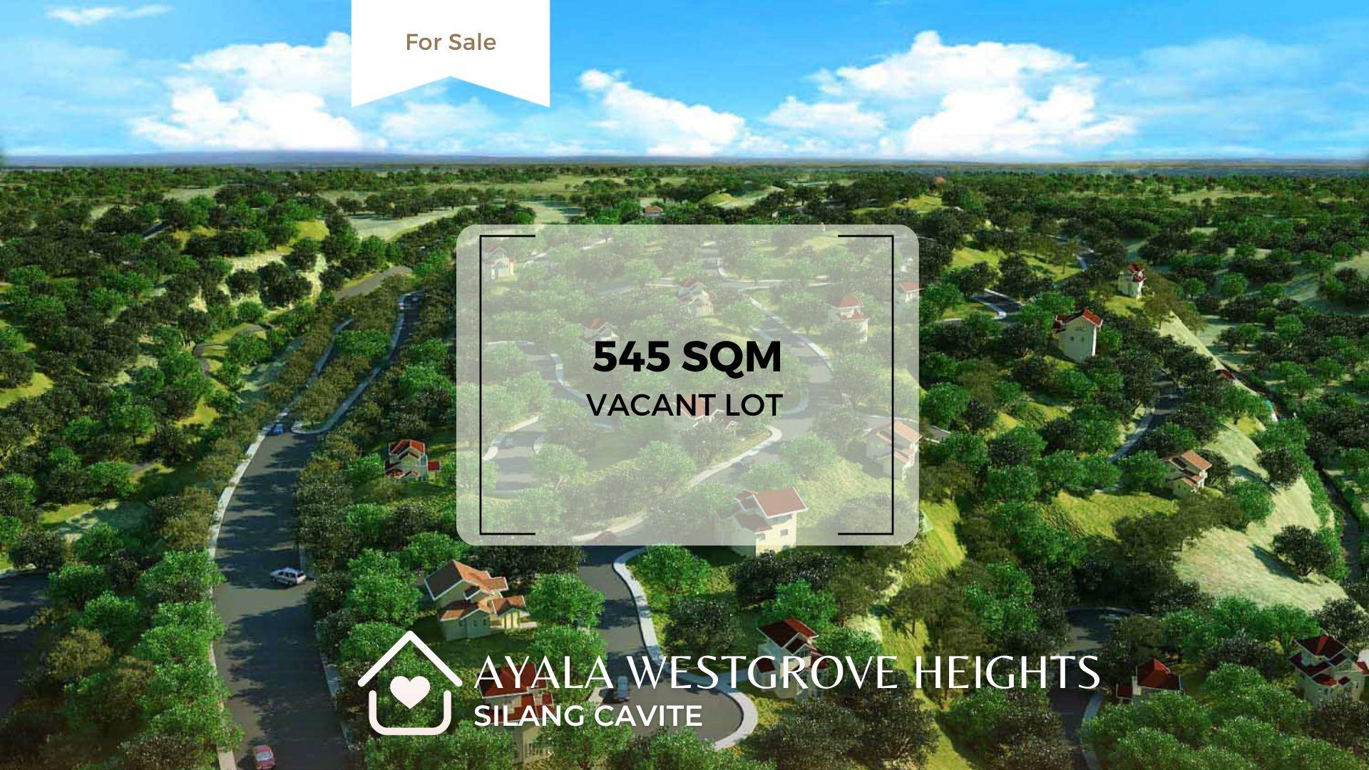 Ayala Westgrove Heights Vacant Lot for Sale! Silang Cavite Property
