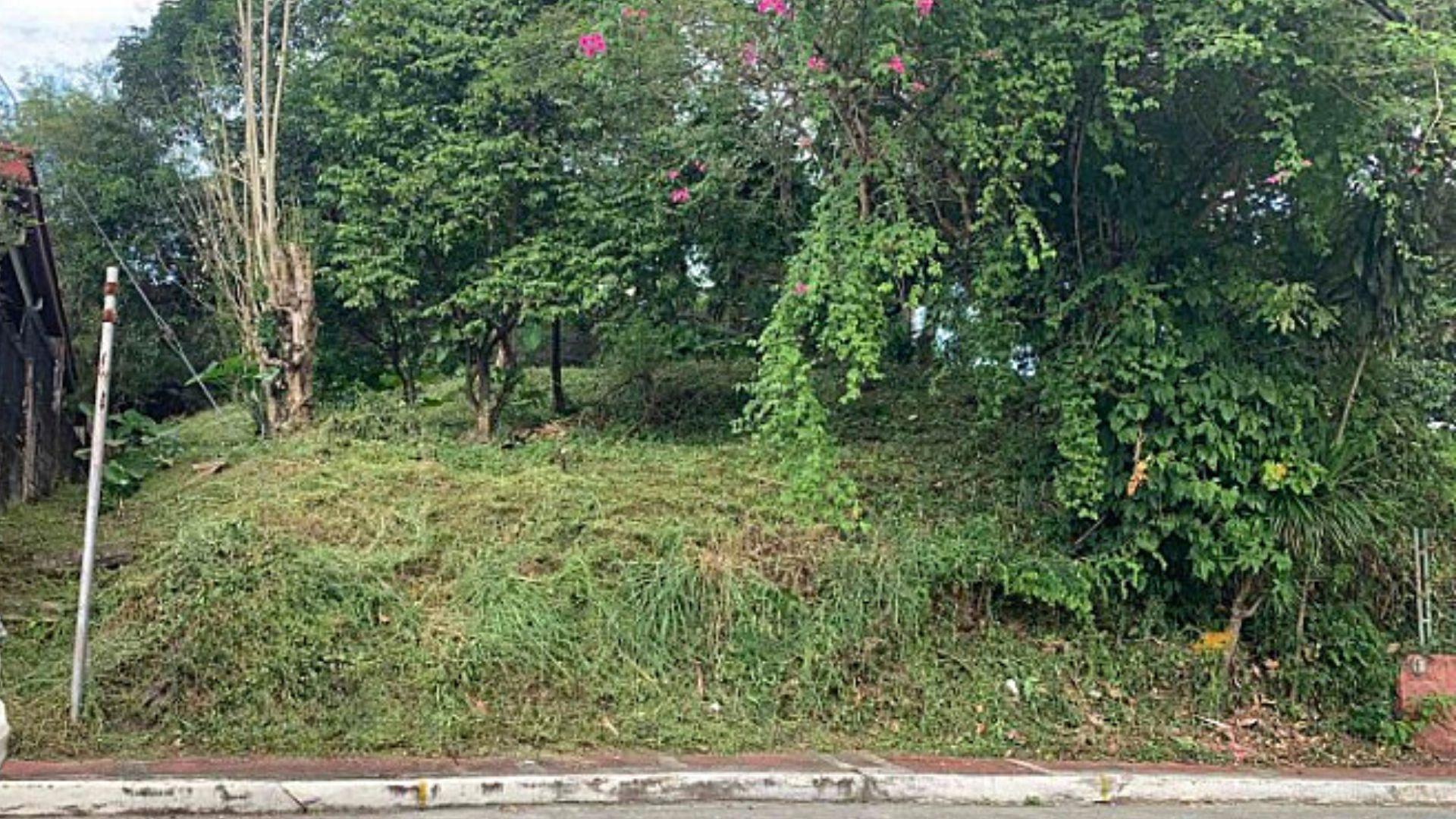 Capitol Park Homes Vacant Lot for Sale! Quezon CIty Property Source PH