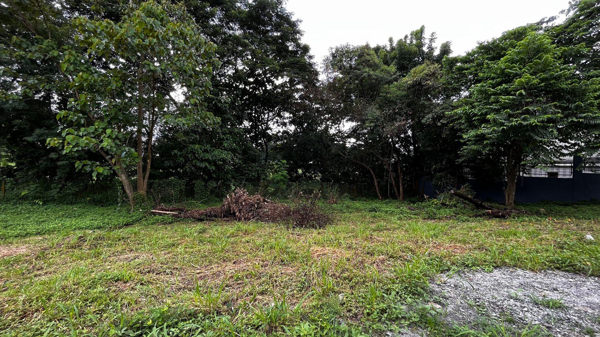 Ayala Hillside Estate Vacant Lot for For Sale! Quezon City Property