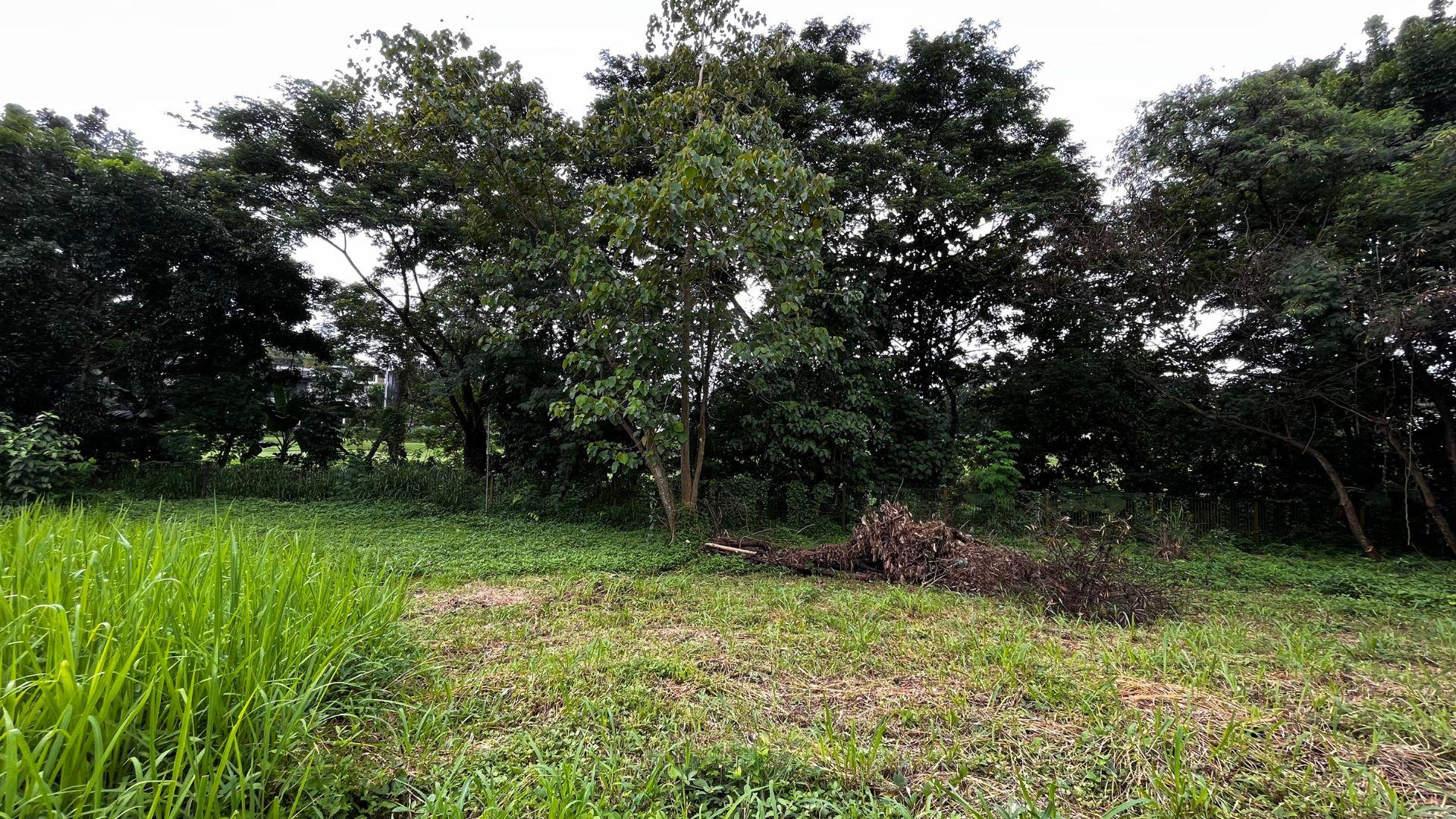 Ayala Hillside Estate Vacant Lot for For Sale! Quezon City Property