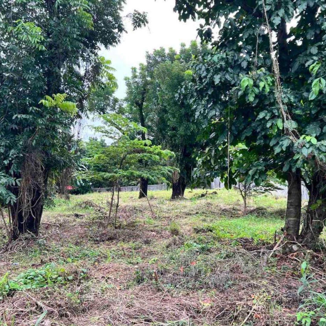 La Vista Lot for Sale! Quezon City Property Source PH