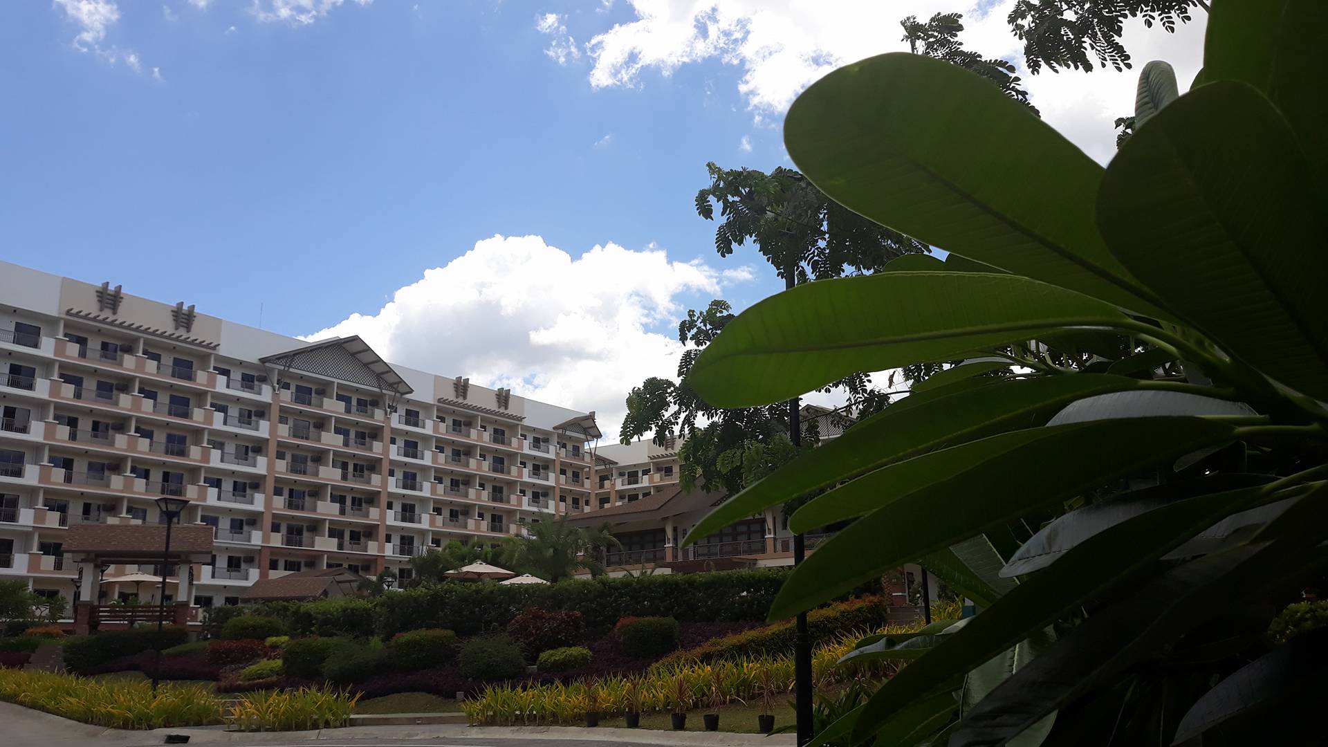 Condo For Sale In Manila Property Wander Real Estate