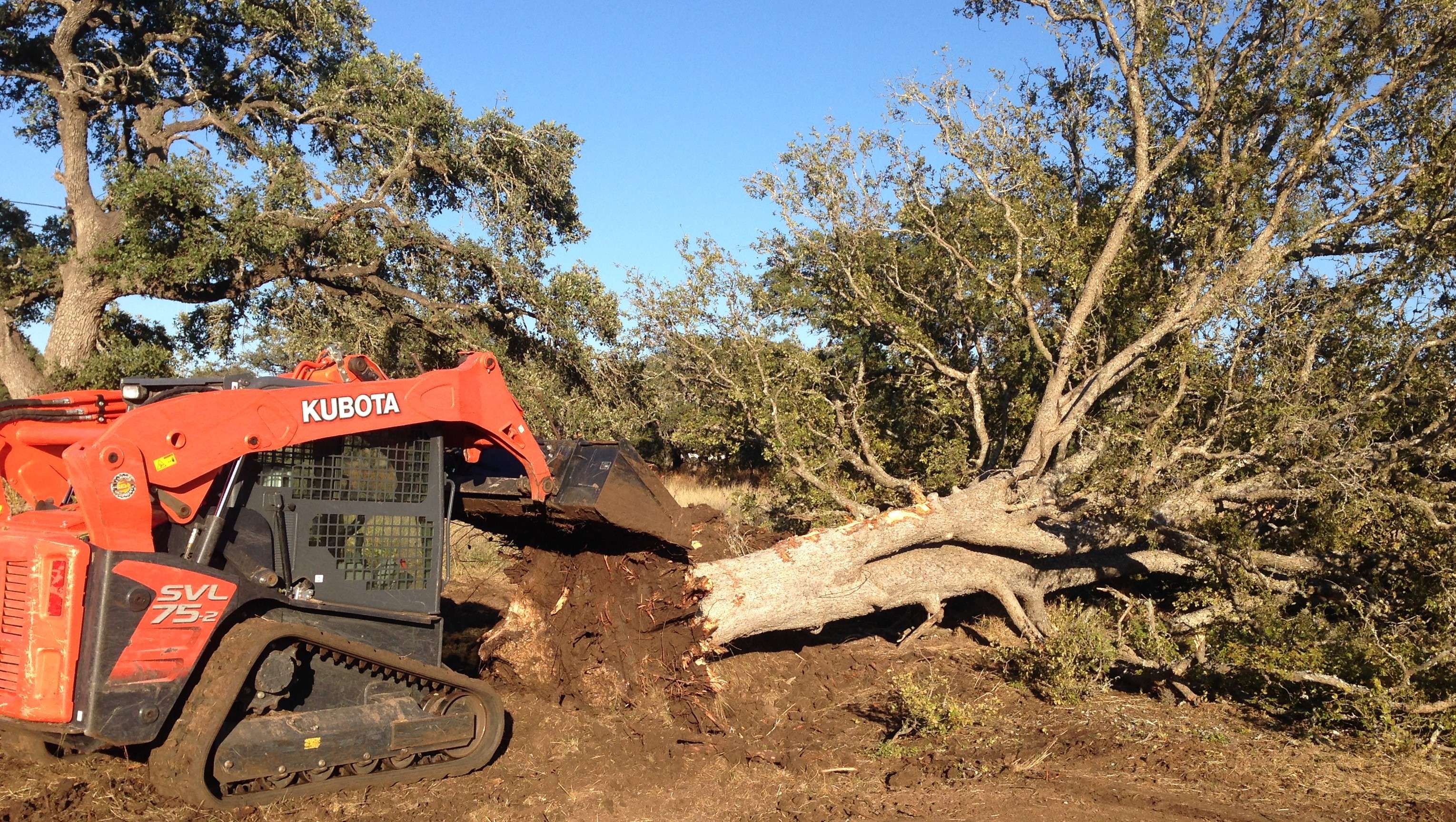 Property Works of Central Texas, Land Clearing Services Cedar Killers