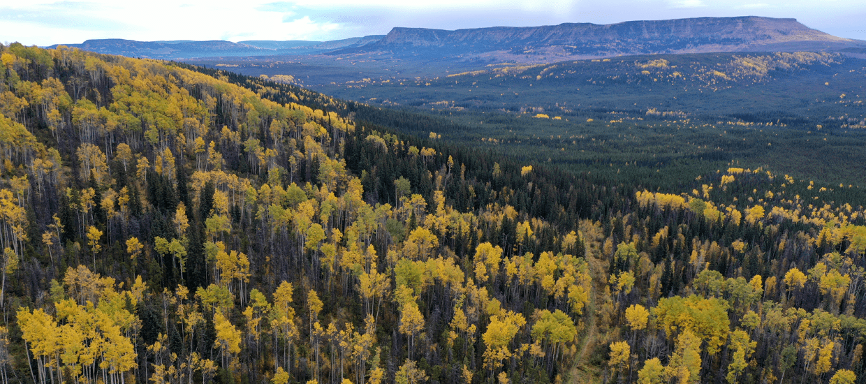Lands Prophet River First Nation
