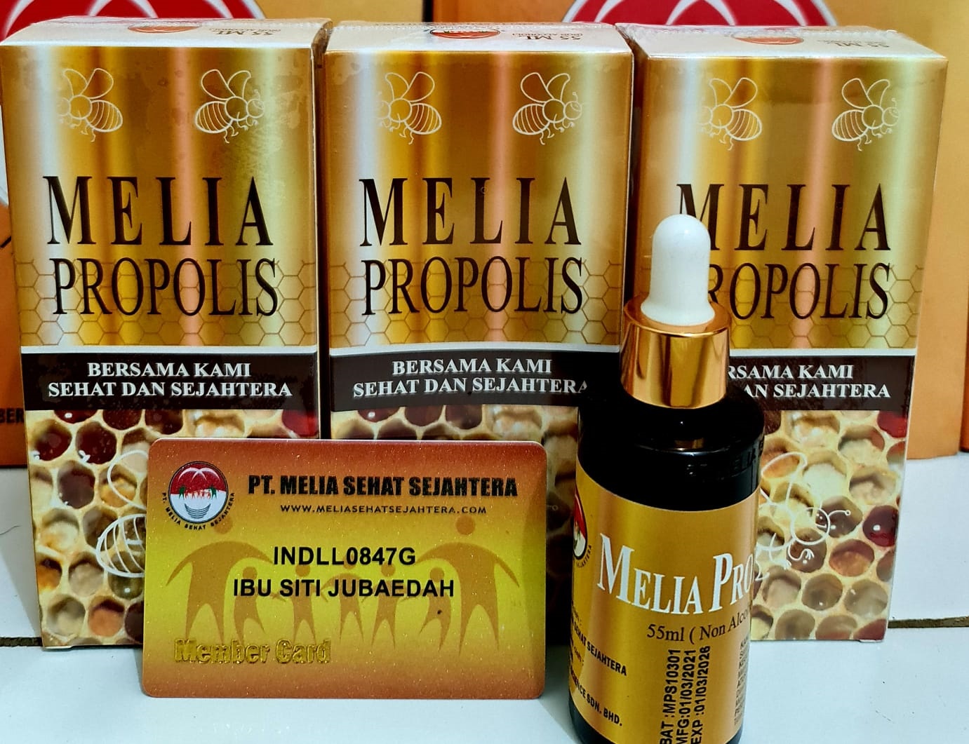 Manfaat Melia Propolis untuk Penyembuhan penyakit Batu Ginjal