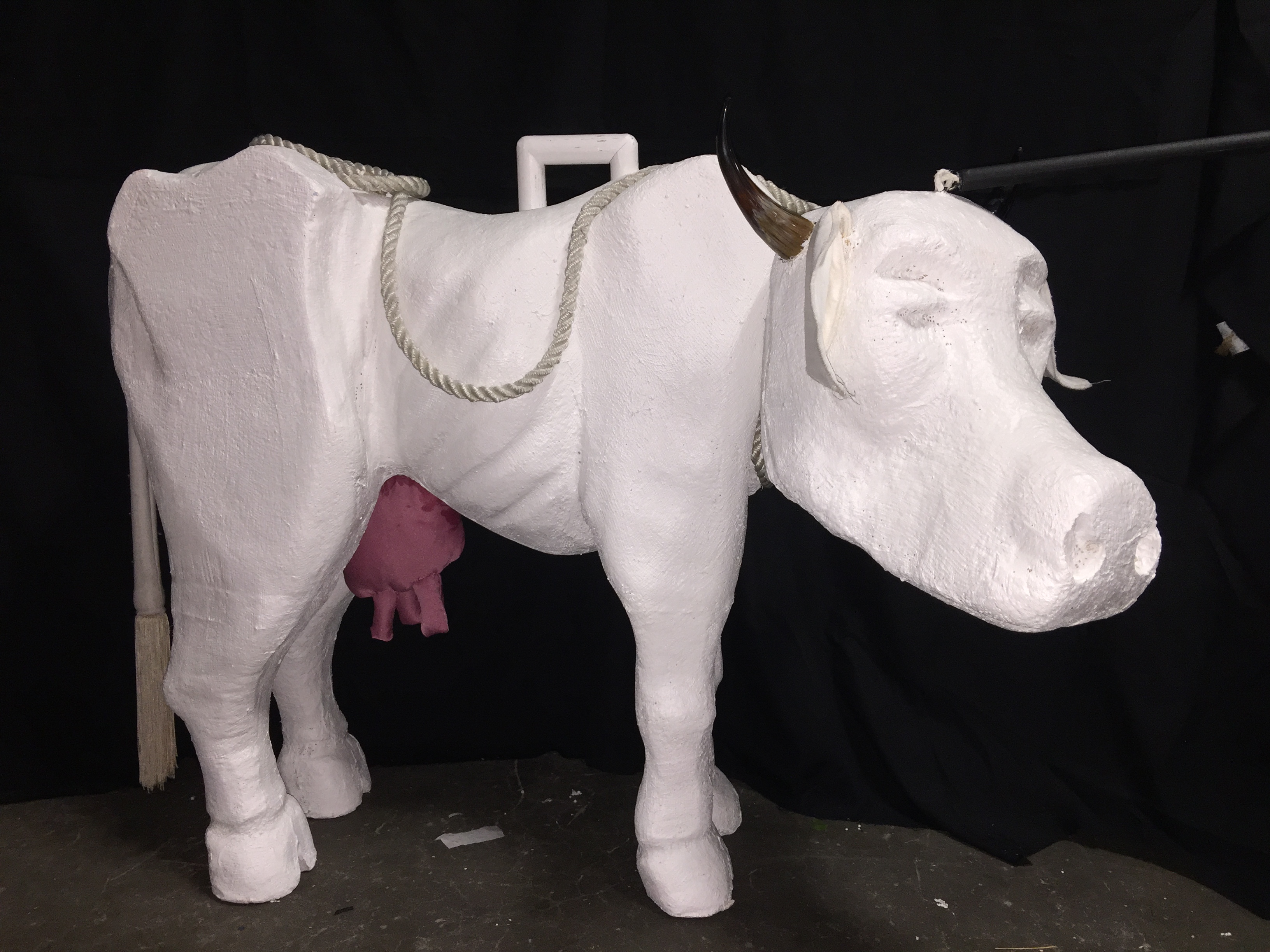 Long Island And New York's Best Source For Props!