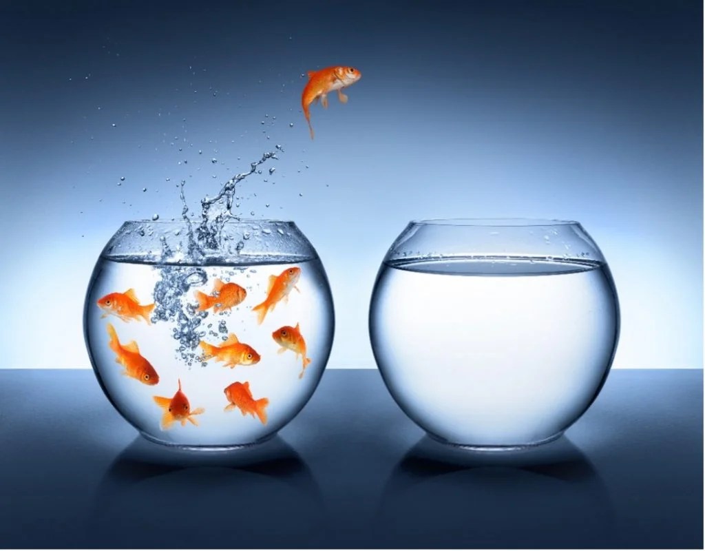 Insights from The Blue Ocean Strategy professional training Pro