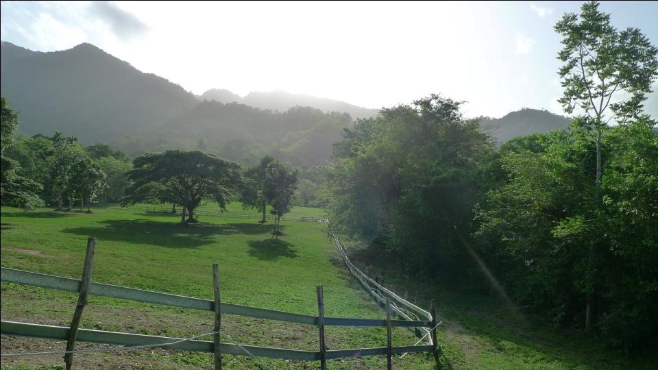 Maracas, St Joseph, 3 Parcels of Land For Sale