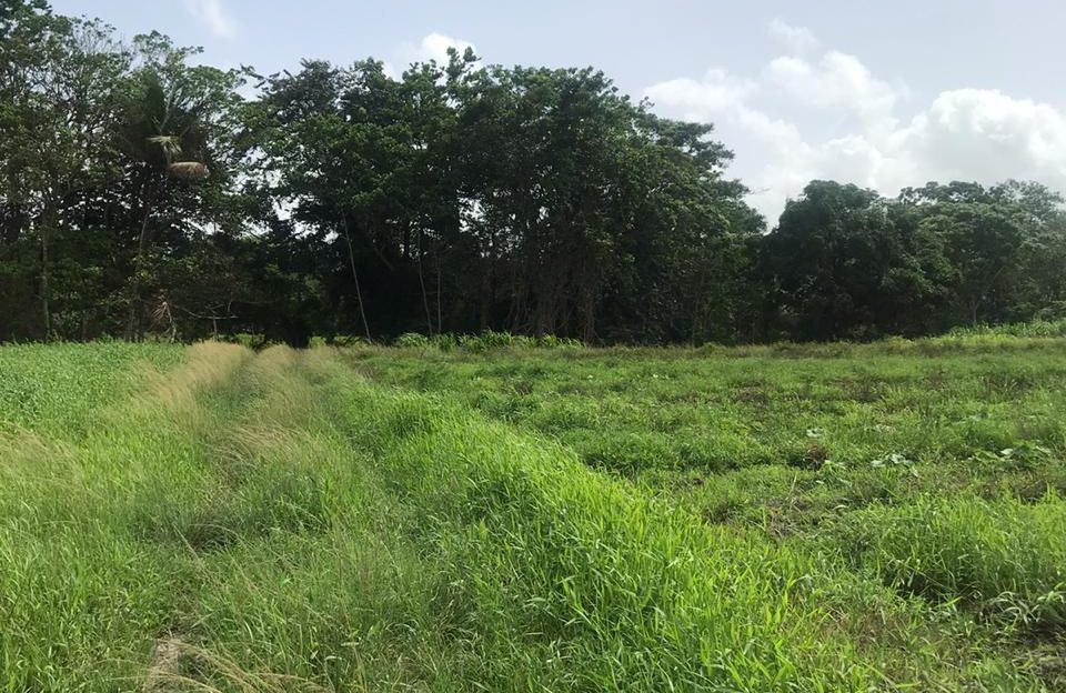 Malabar Land for Sale > Trinidad and Tobago Real Estate
