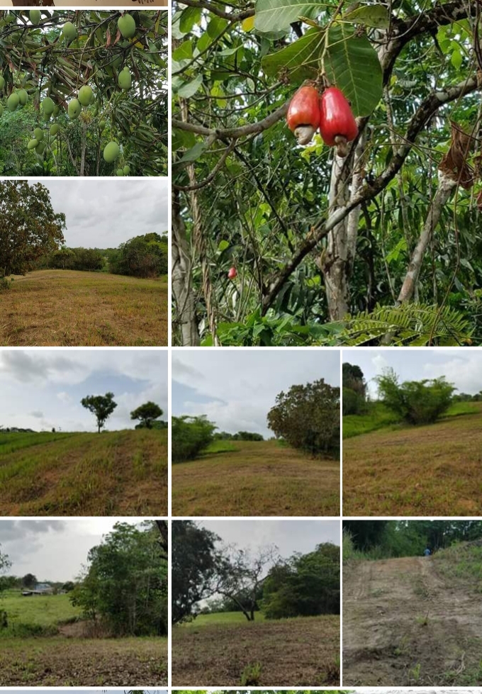 Approx. 3 Acres Las Lomas Land FOR SALE > Trinidad