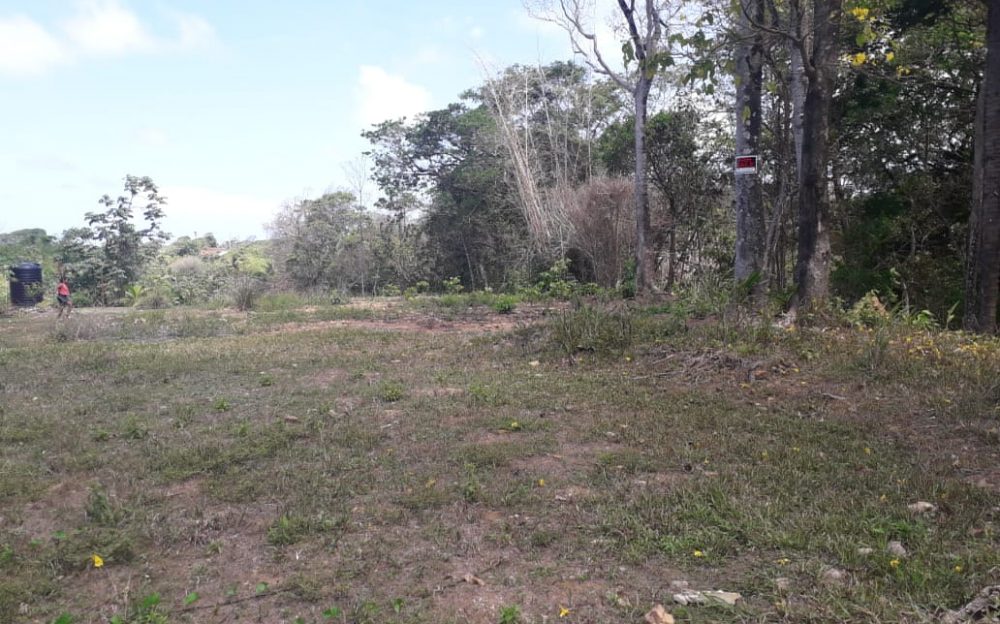 Toco Land > Trinidad and Tobago Real Estate